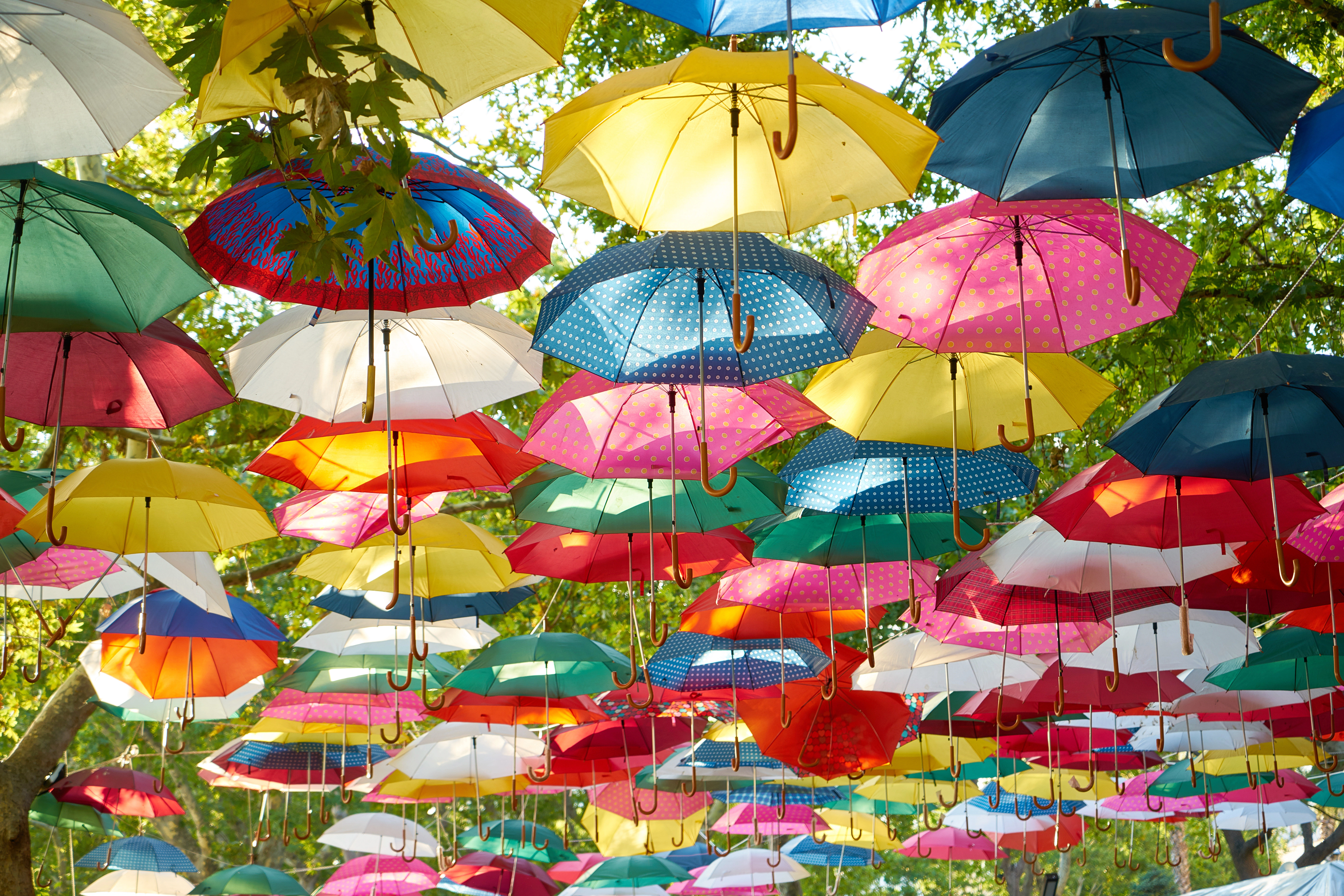 Umbrellas